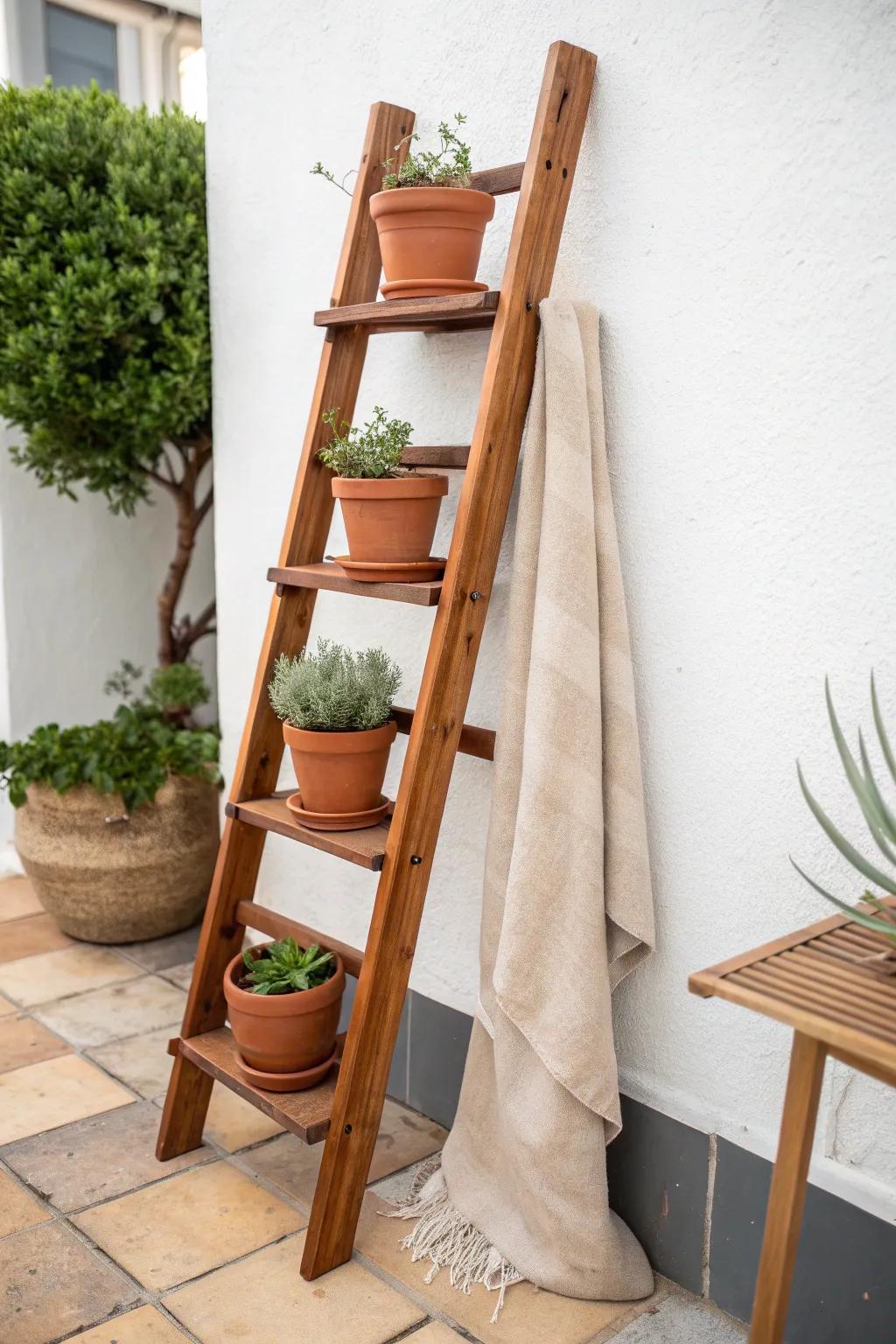 A classic ladder plant stand in warm wood—deep rungs keep pots steady on breezy patios.