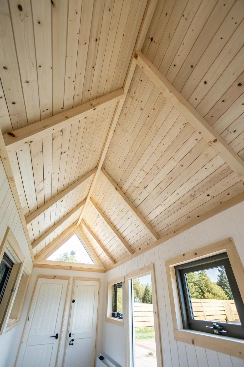 Light wood planks on a vaulted tiny-house ceiling—airy, bright, and beautifully crafted.