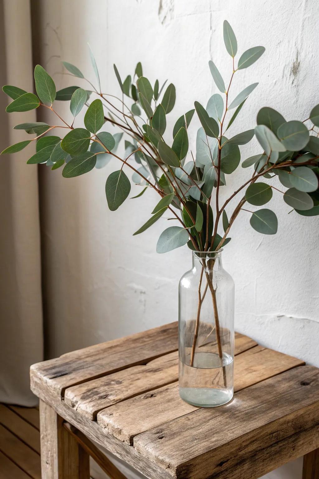 A single glass vase of leafy stems—easy greenery that makes shabby chic feel modern.
