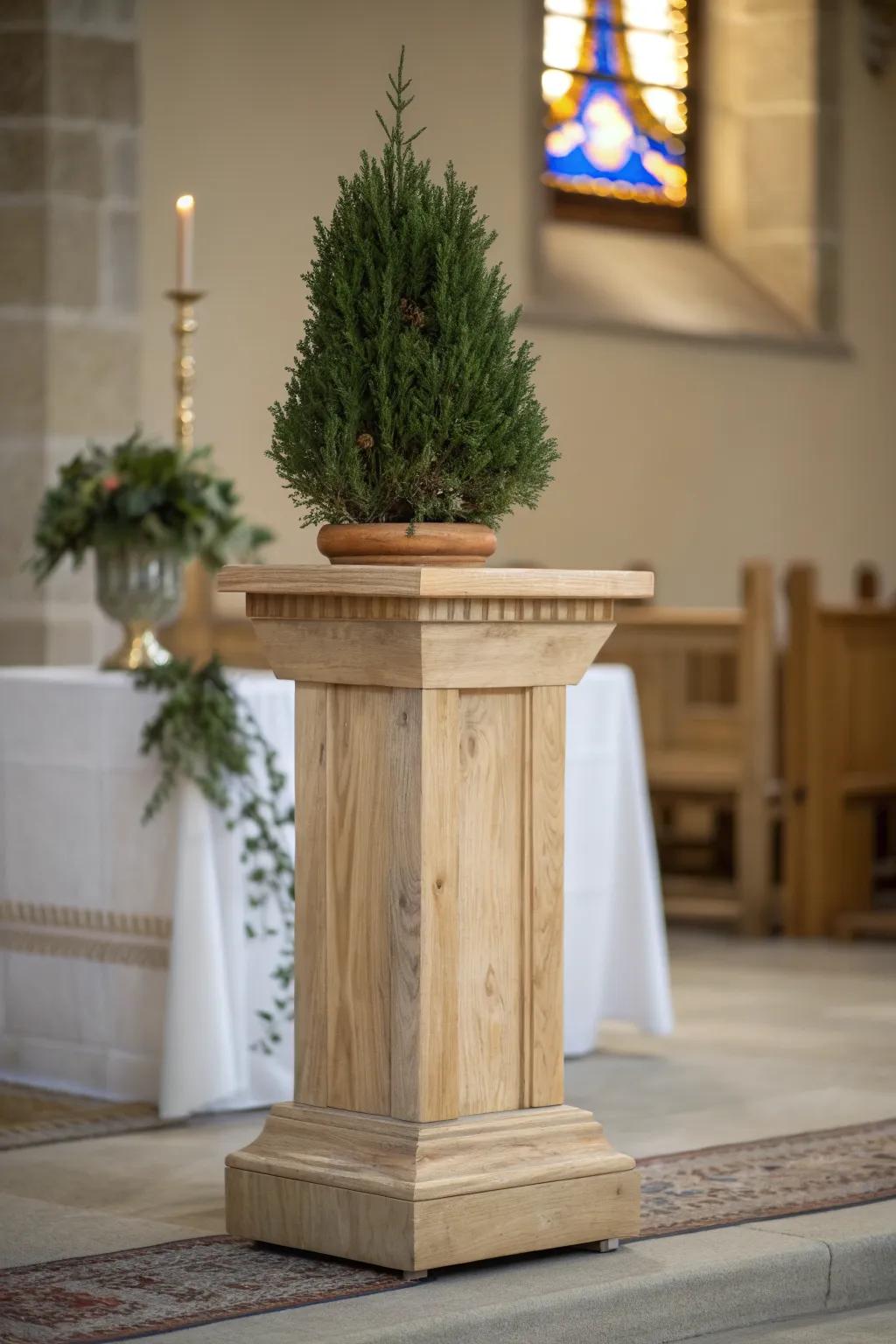 Evergreen topiary on a weathered wood column—formal Advent altar warmth with clean contrast.
