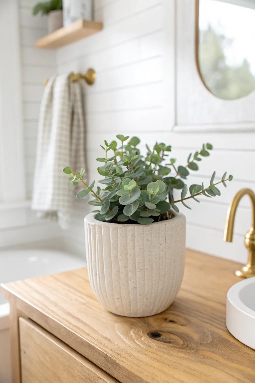 A single eucalyptus planter adds fresh life to a clean modern farmhouse master bath.