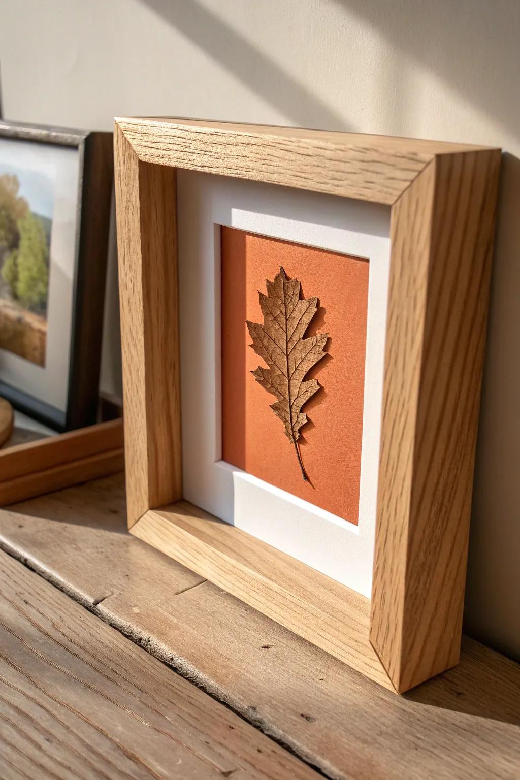 Shadowbox a tiny travel keepsake—one pressed leaf—inside a handcrafted oak frame with terracotta backing.