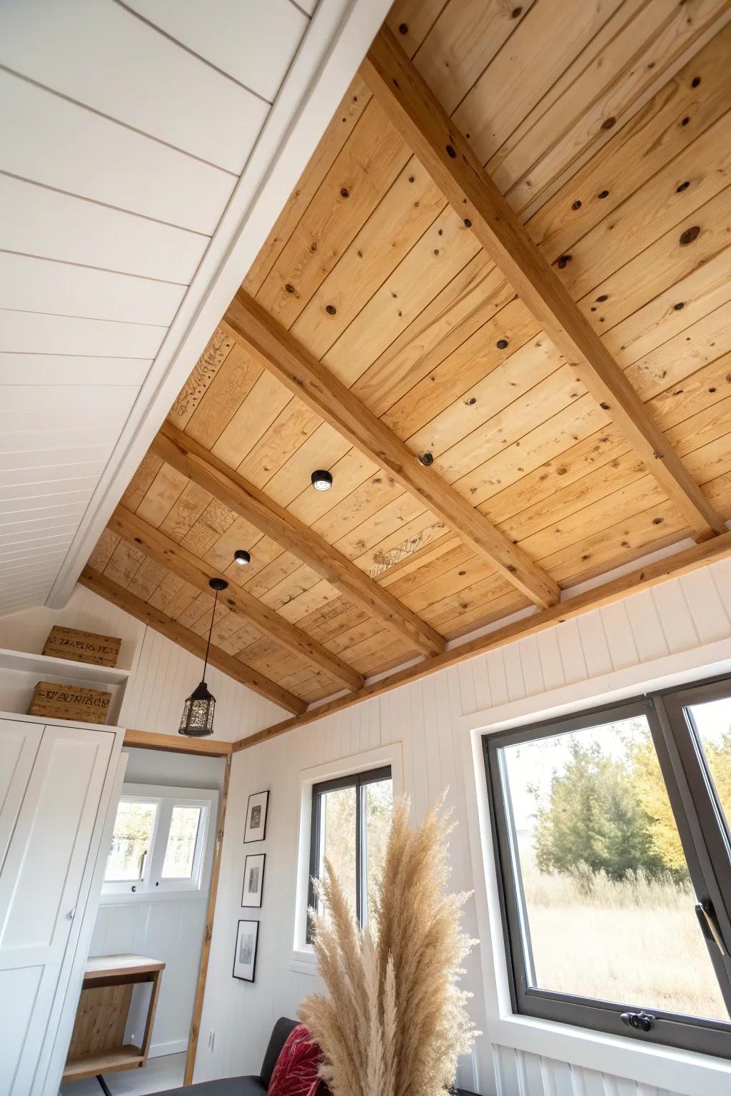 Modern tiny-house vibe: matte clear-coated plywood ceiling with crisp batten seams.