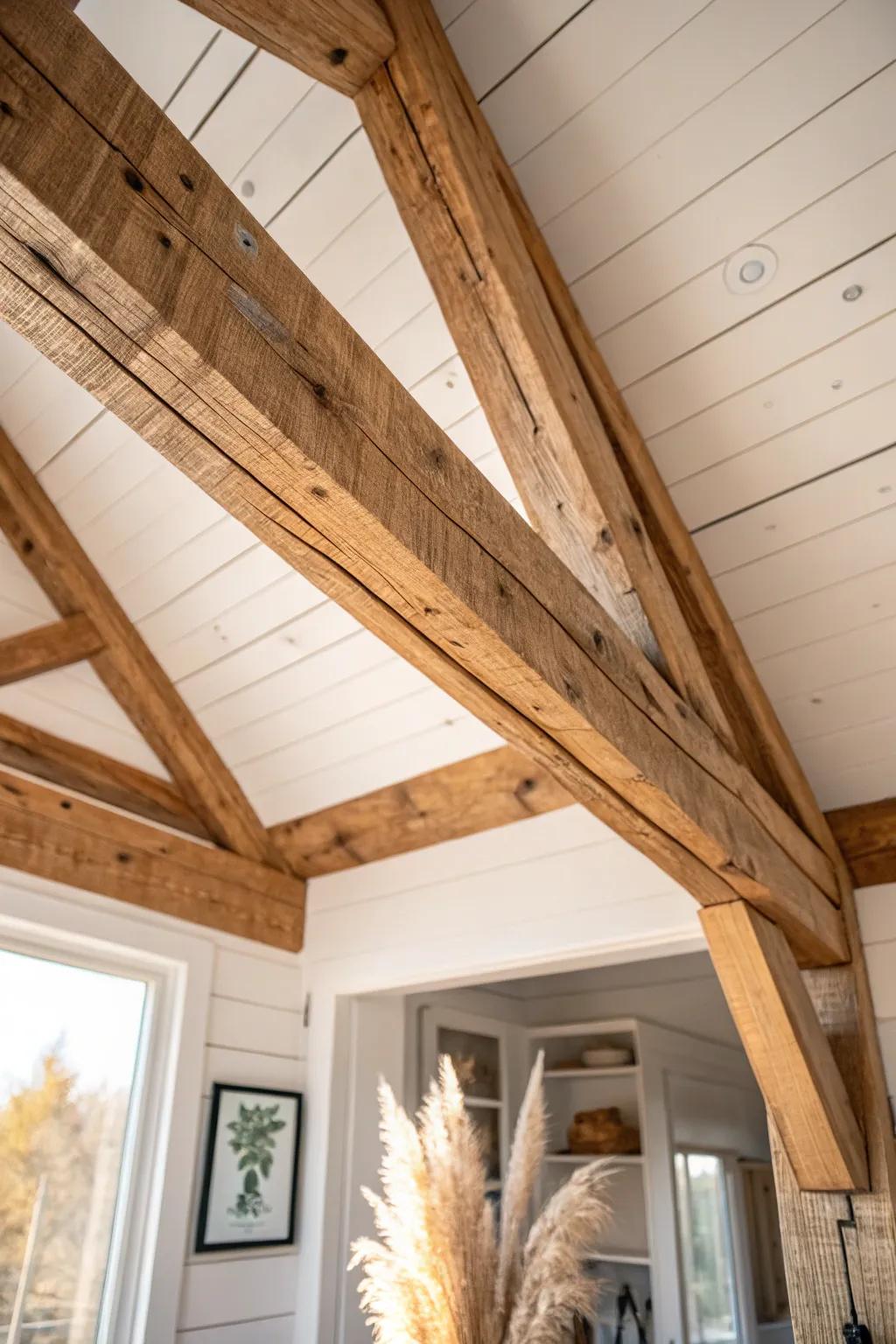 Exposed rafters add warm texture overhead—rustic depth without losing precious headroom.