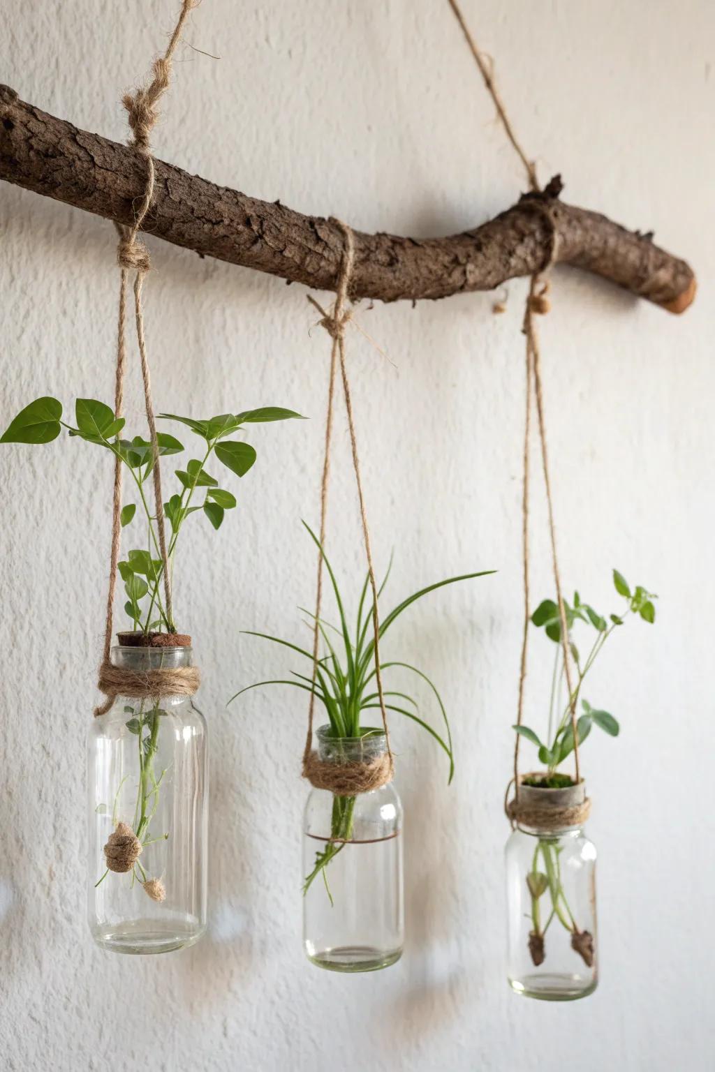 Bring the outdoors inside with this charming rustic branch propagation station. 🌿✨